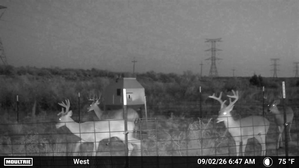 Tbd State Highway 70 Property Photo 6