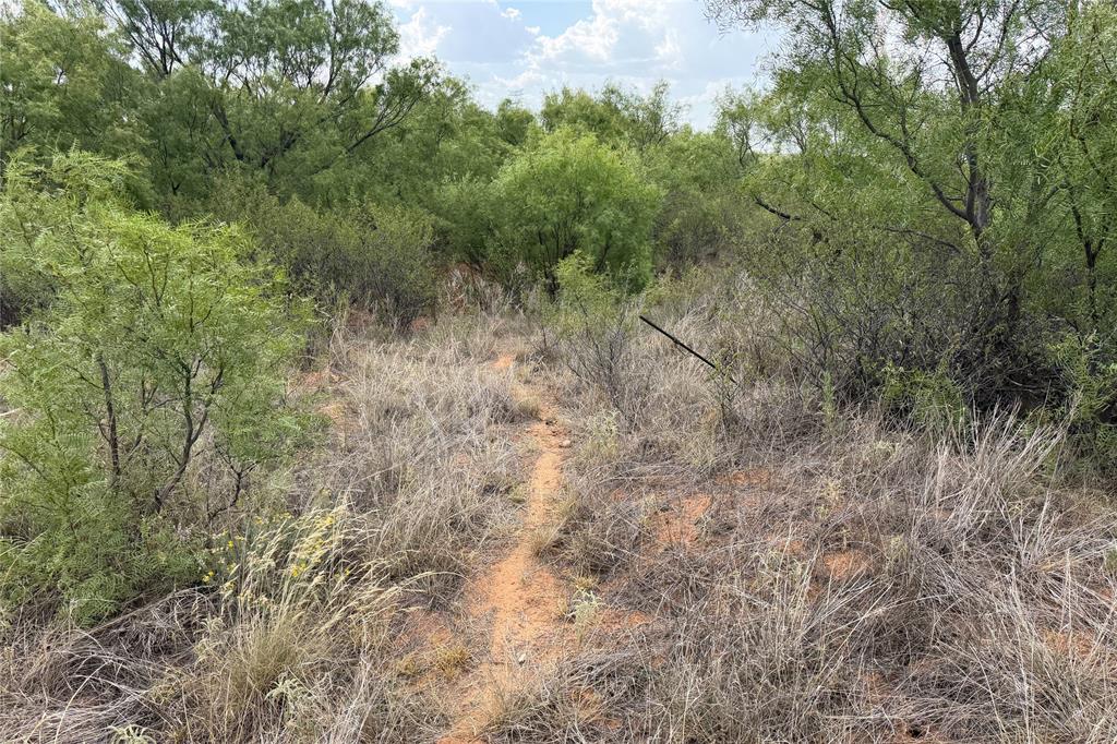 Tbd State Highway 70 Property Photo 39