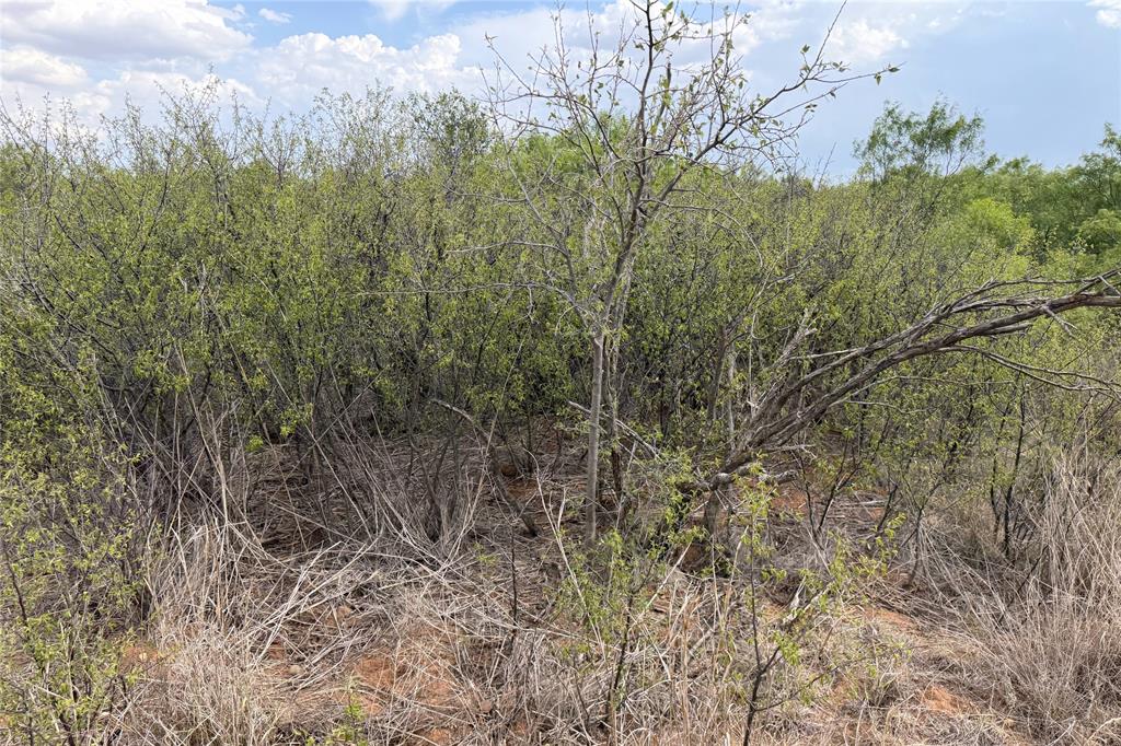 Tbd State Highway 70 Property Photo 40