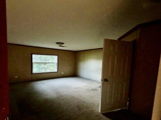 196 Womack Road Property Photo 5