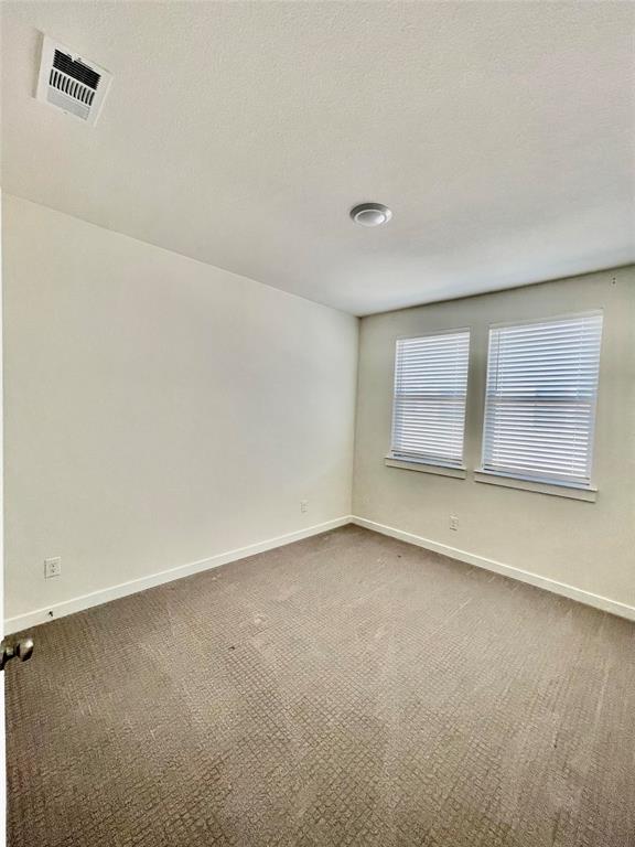 320 Spring Hill Property Photo 18