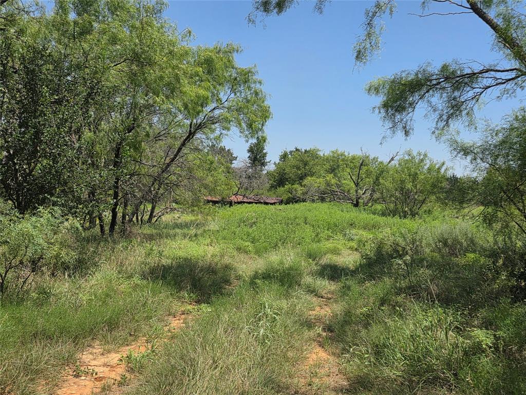 450 County Road 250 Property Photo 2