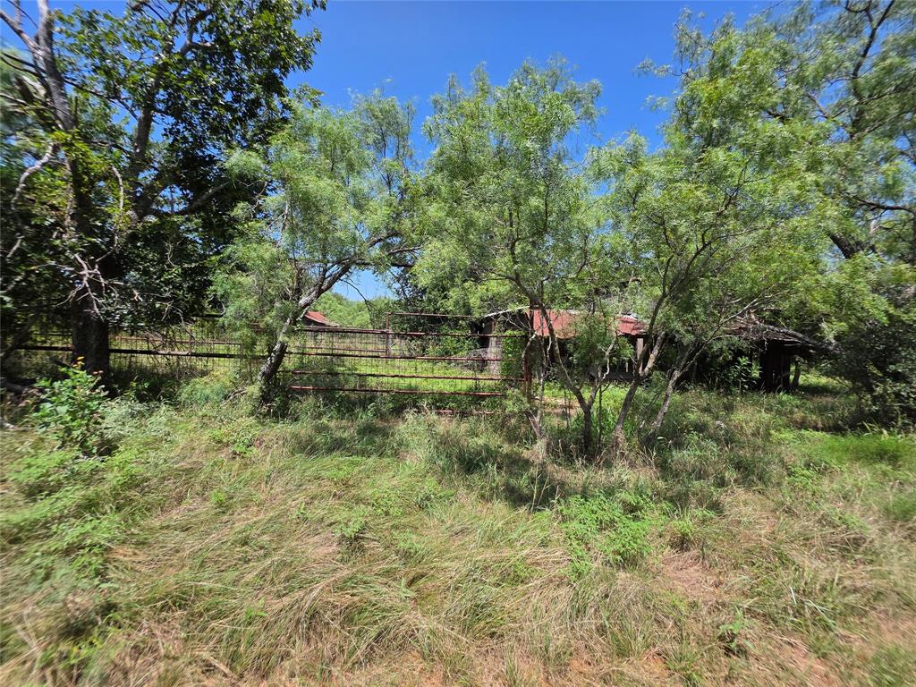 450 County Road 250 Property Photo 3