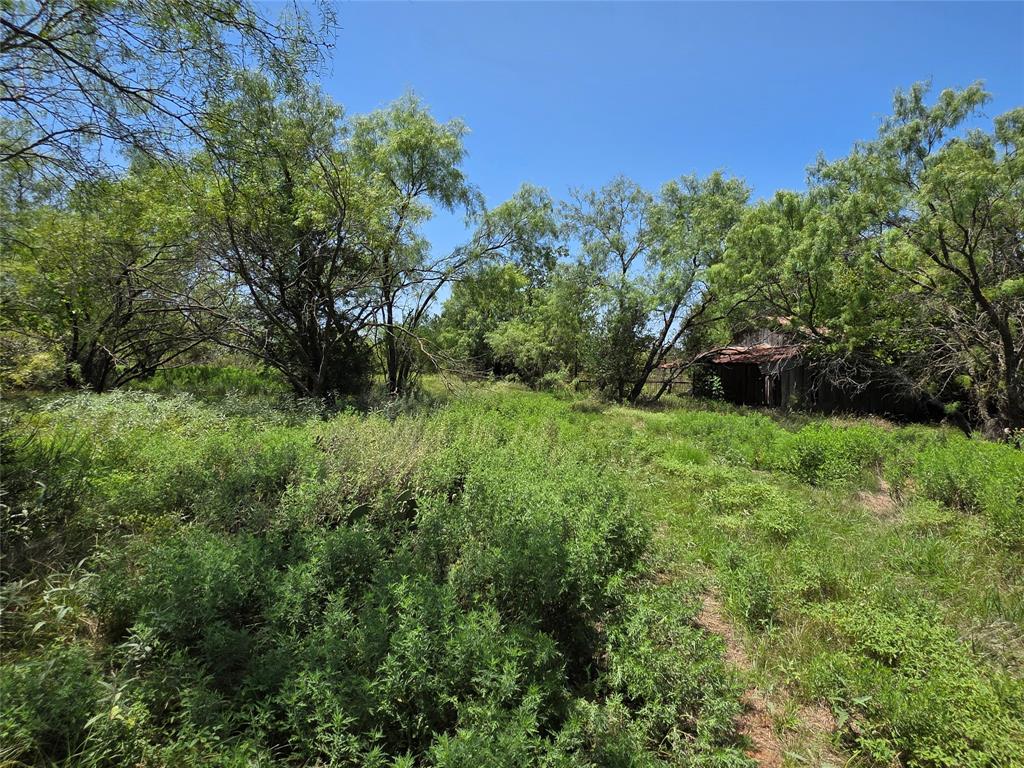 450 County Road 250 Property Photo 4