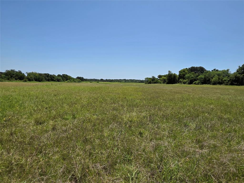 450 County Road 250 Property Photo 5