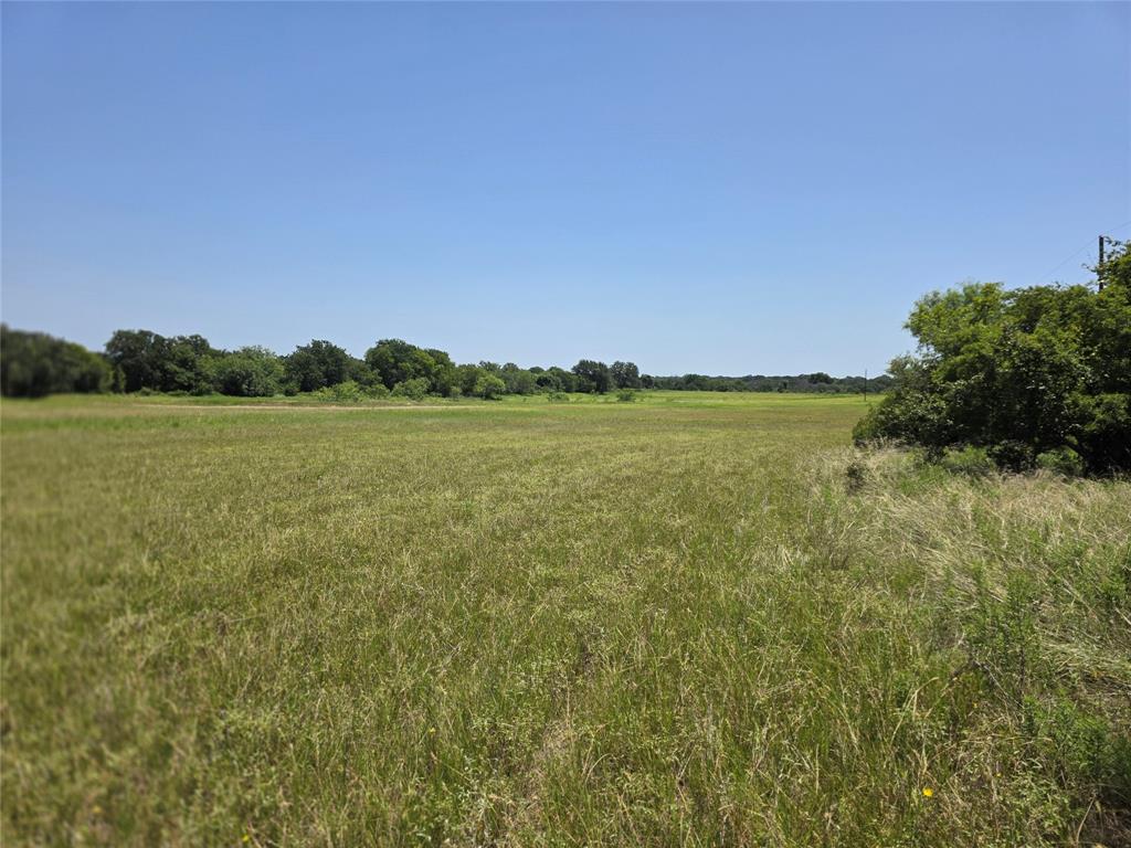 450 County Road 250 Property Photo 6