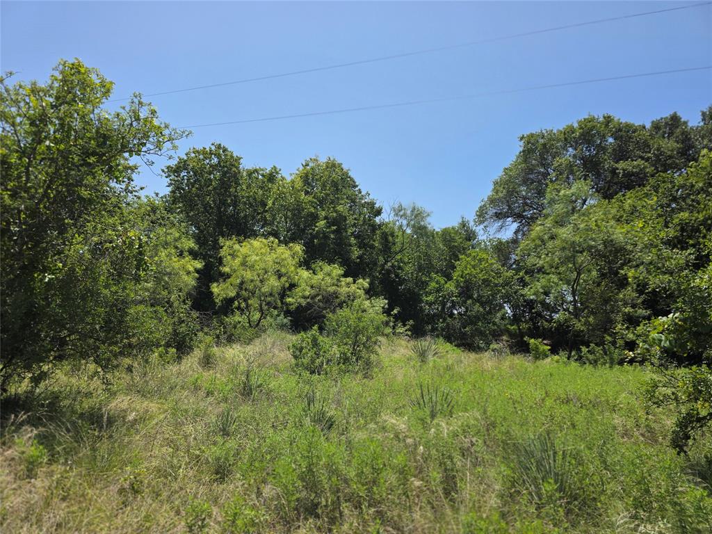 450 County Road 250 Property Photo 7