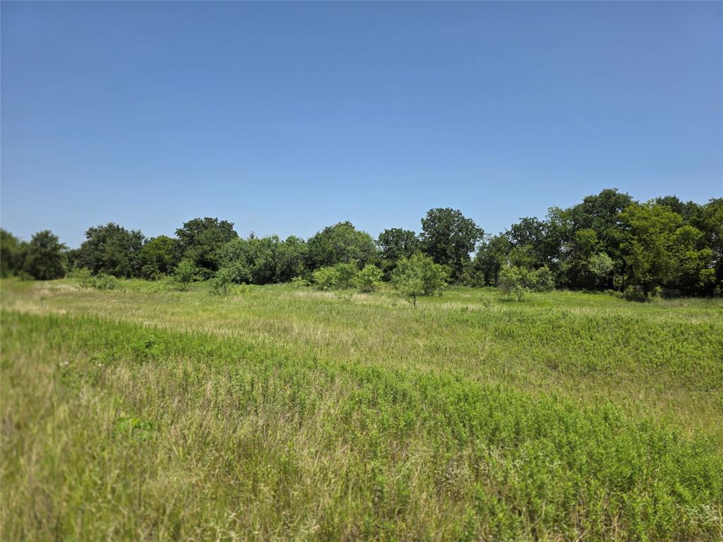 450 County Road 250 Property Photo 8