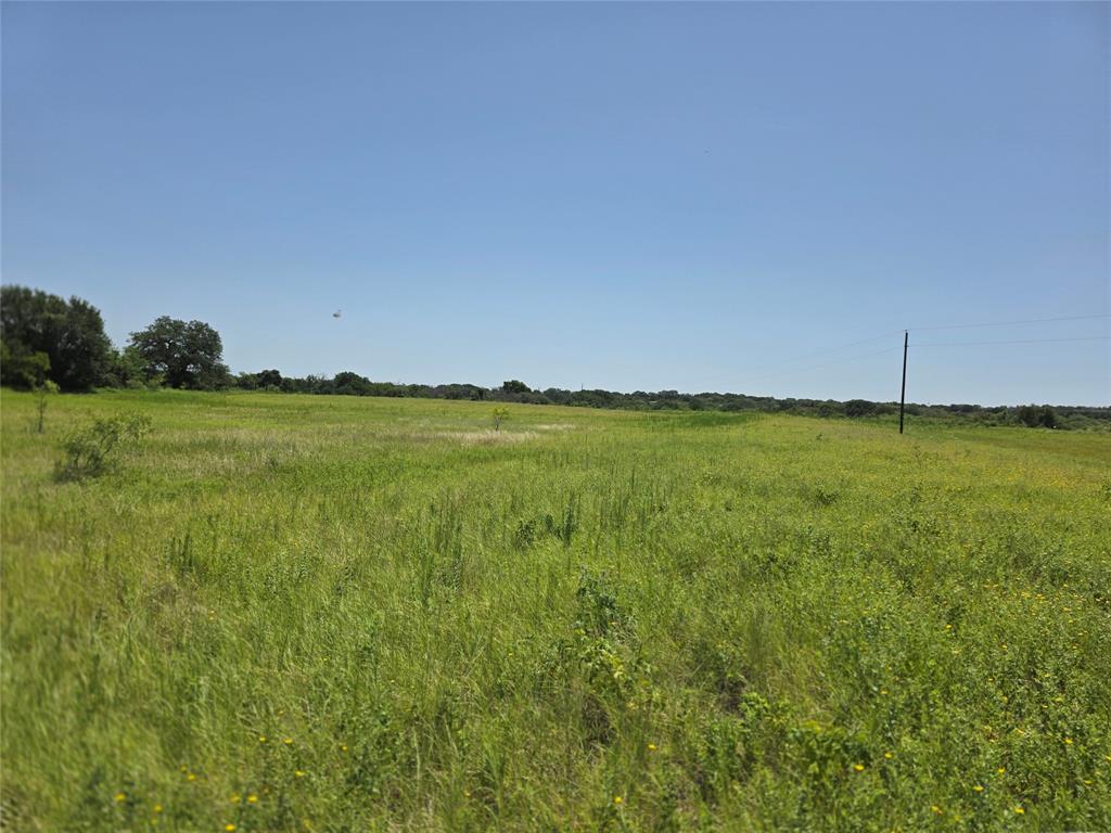450 County Road 250 Property Photo 9