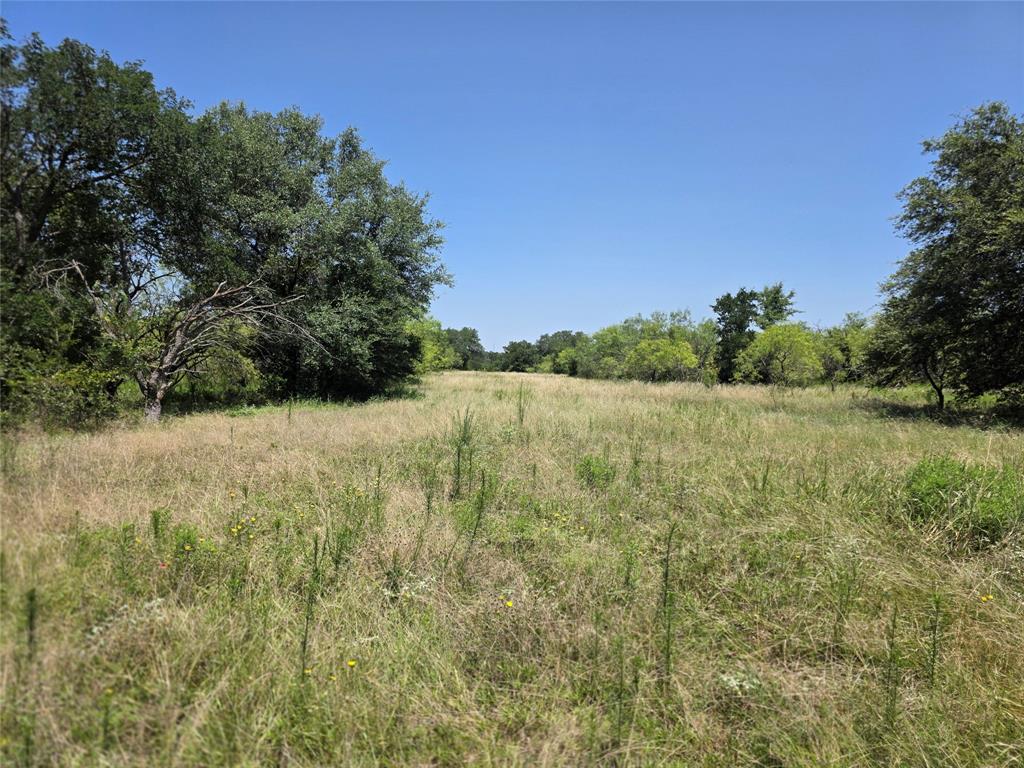 450 County Road 250 Property Photo 10
