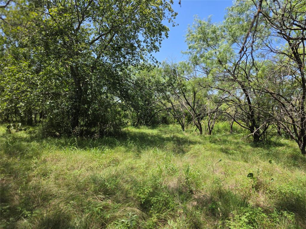 450 County Road 250 Property Photo 11