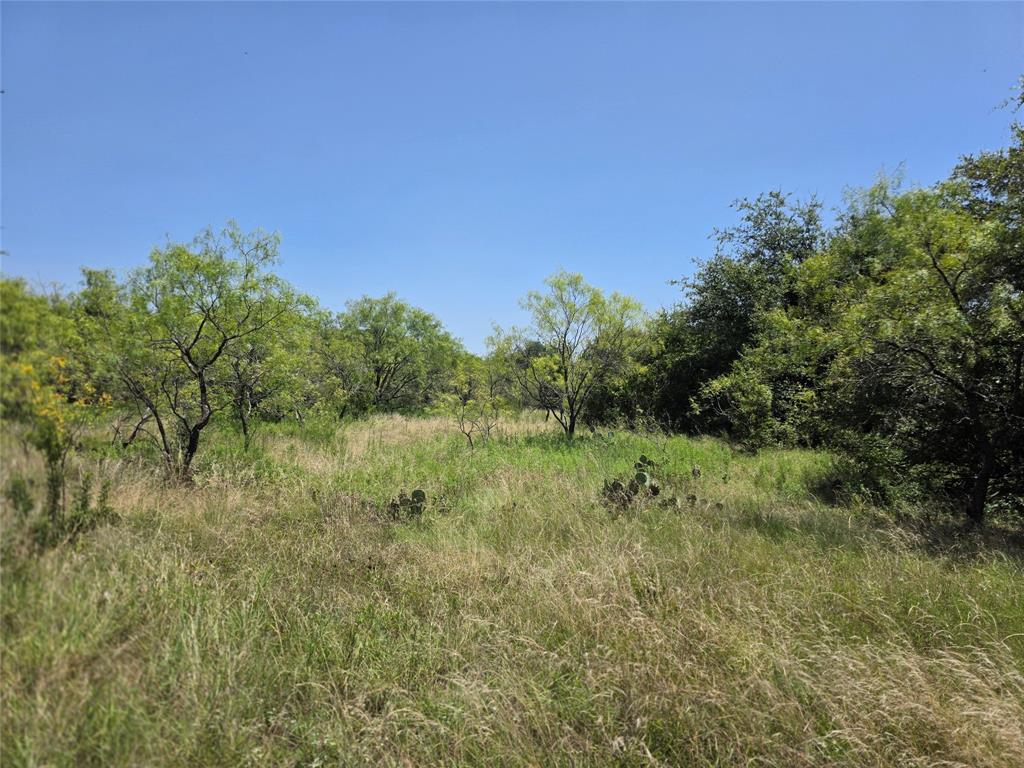450 County Road 250 Property Photo 12