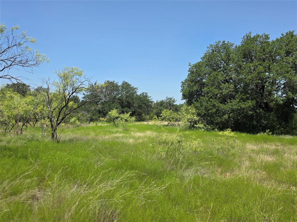450 County Road 250 Property Photo 13