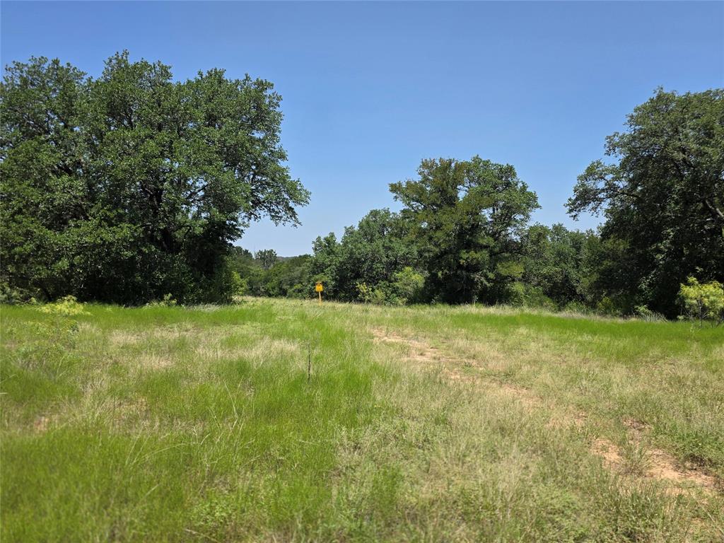 450 County Road 250 Property Photo 14