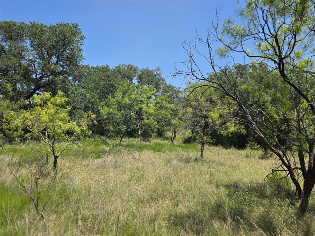 450 County Road 250 Property Photo 15