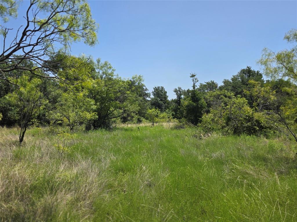 450 County Road 250 Property Photo 16