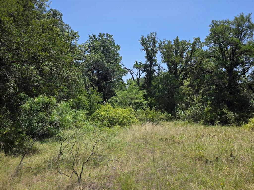 450 County Road 250 Property Photo 17