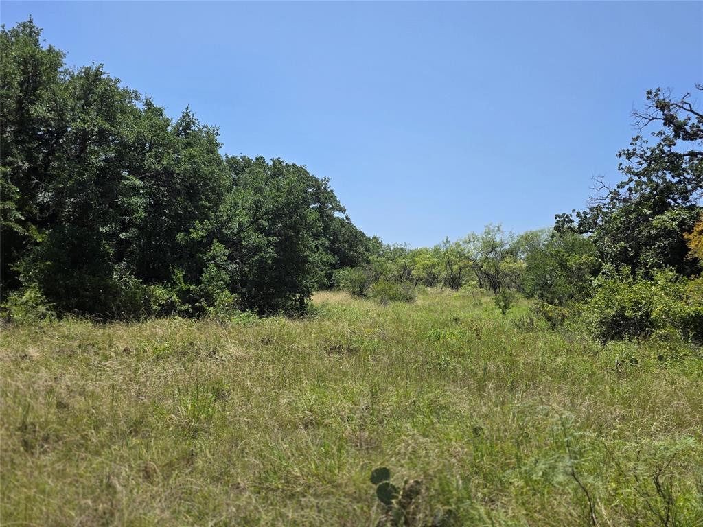 450 County Road 250 Property Photo 18