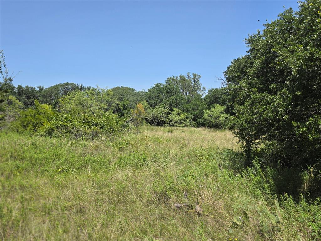 450 County Road 250 Property Photo 19