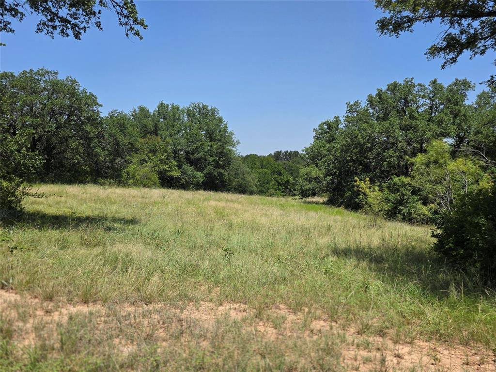 450 County Road 250 Property Photo 20