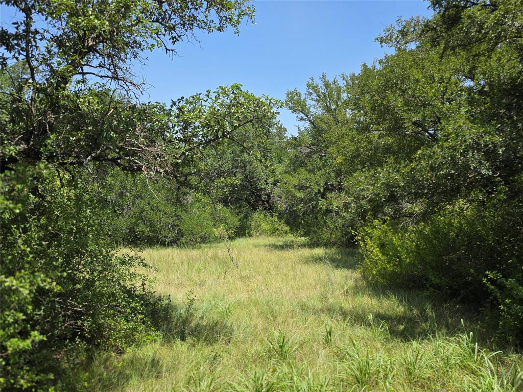 450 County Road 250 Property Photo 21