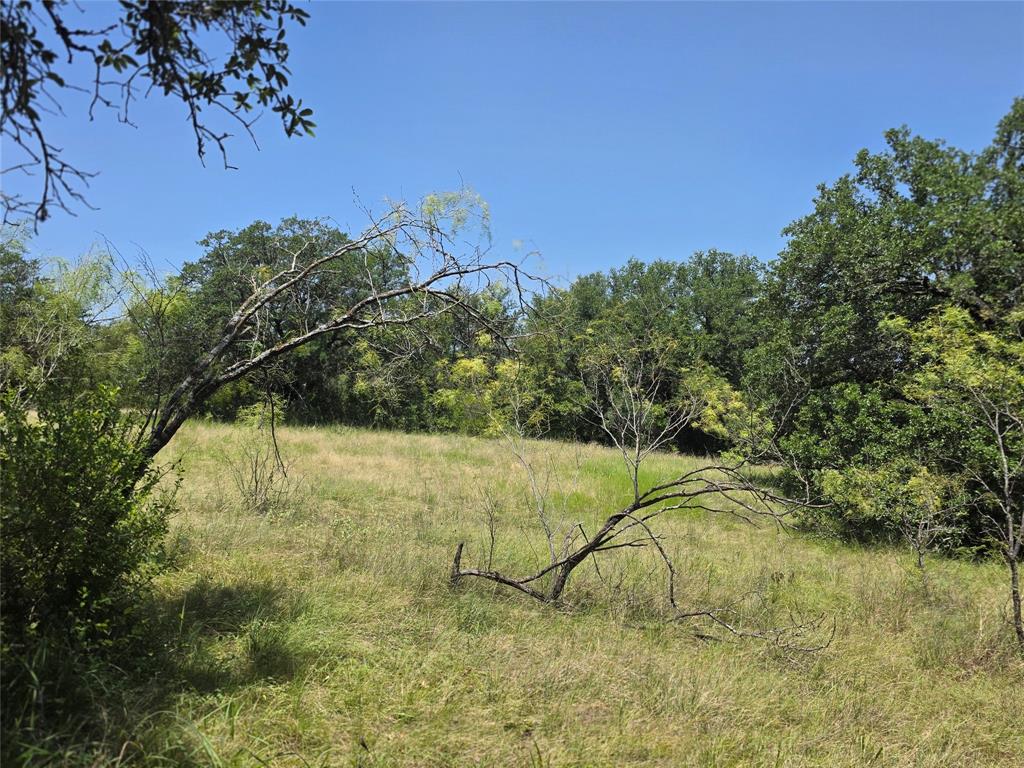 450 County Road 250 Property Photo 22