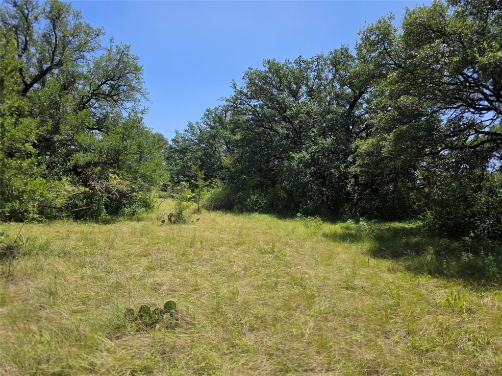 450 County Road 250 Property Photo 23