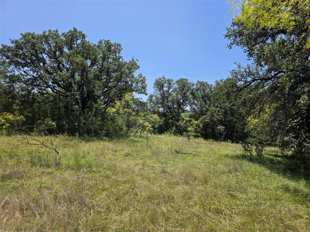 450 County Road 250 Property Photo 24