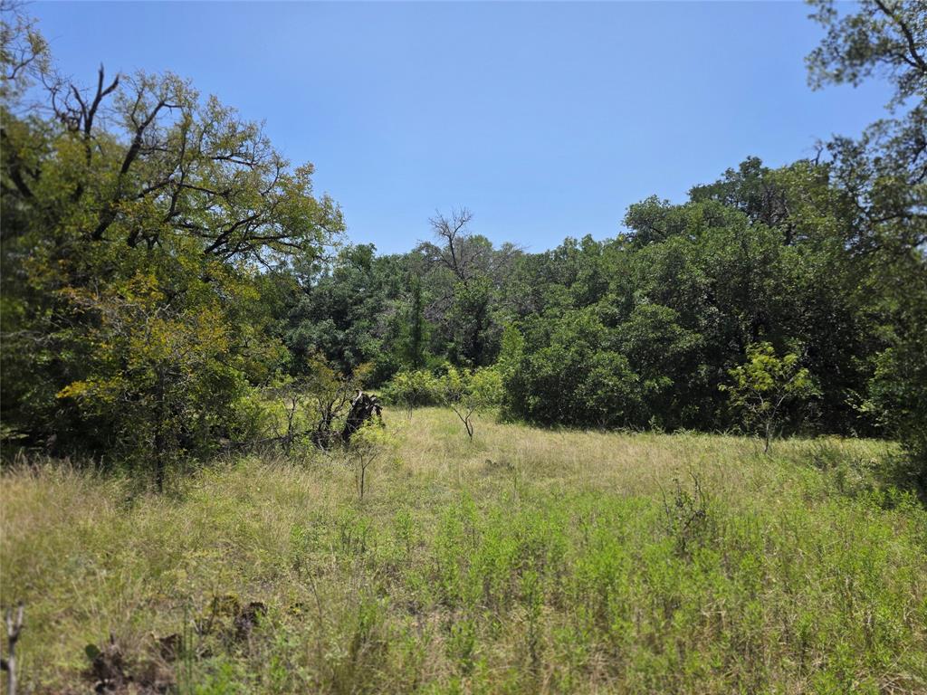 450 County Road 250 Property Photo 25