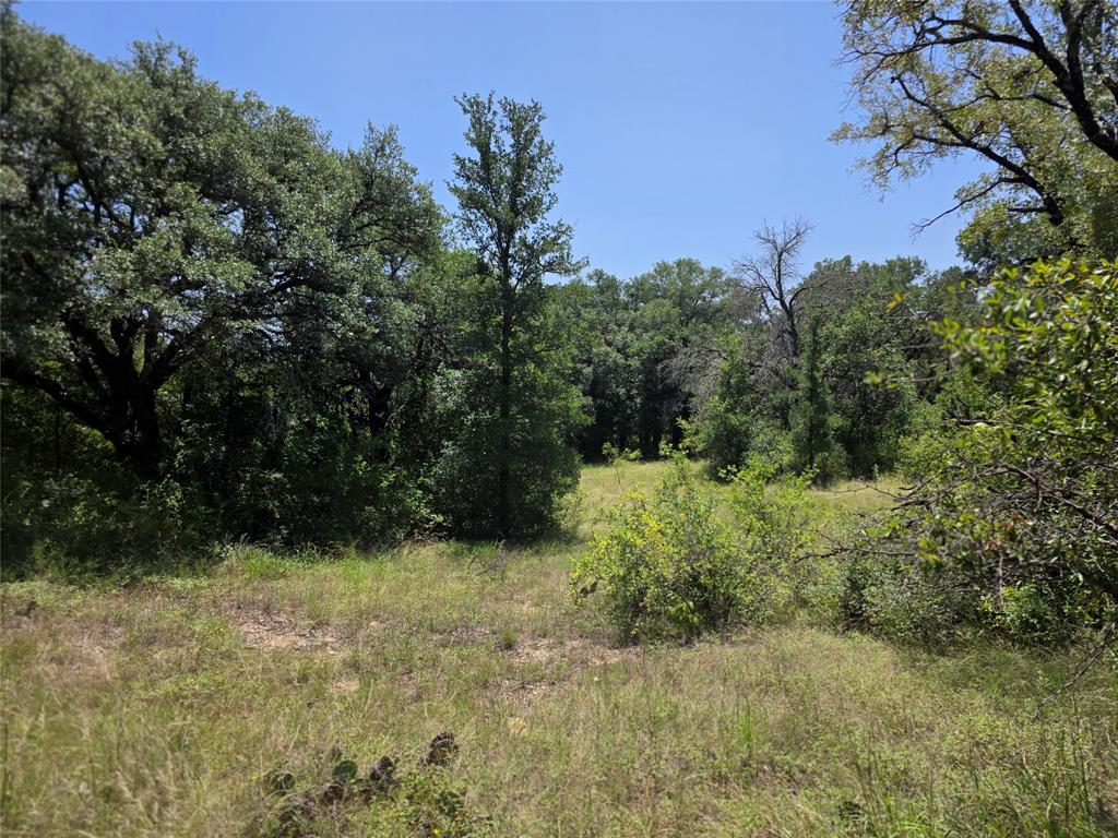450 County Road 250 Property Photo 26