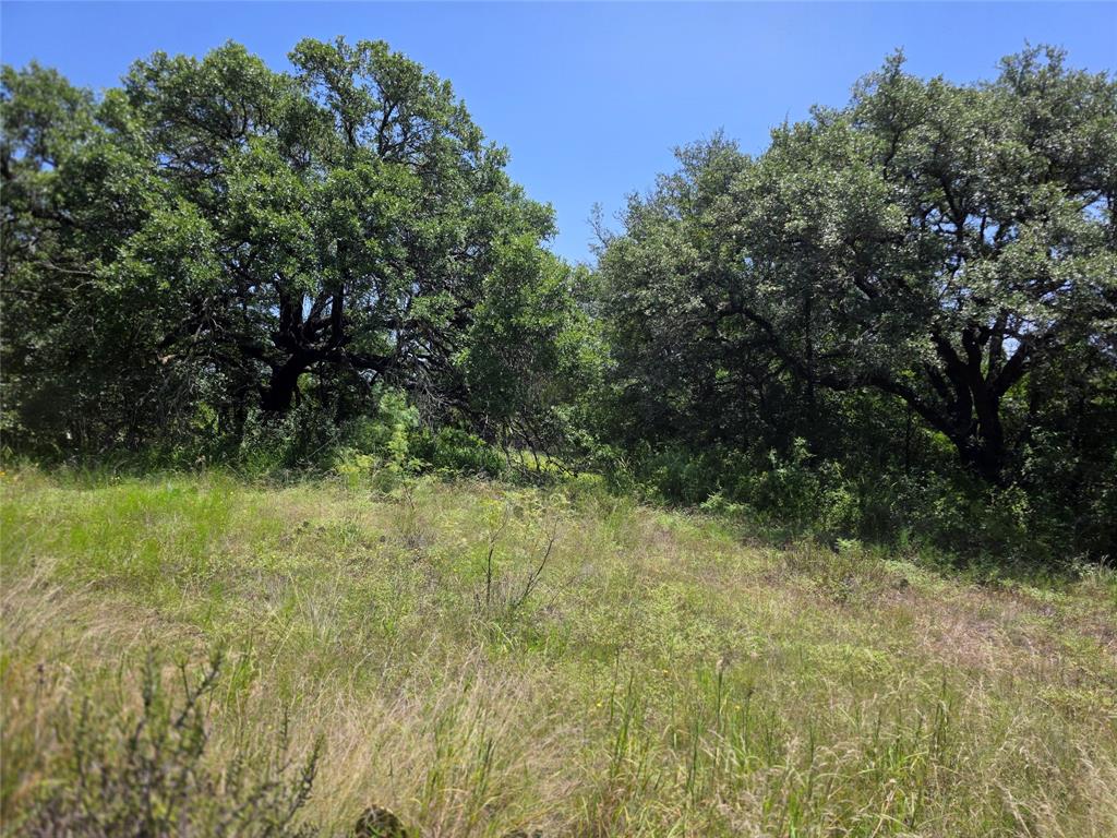 450 County Road 250 Property Photo 27