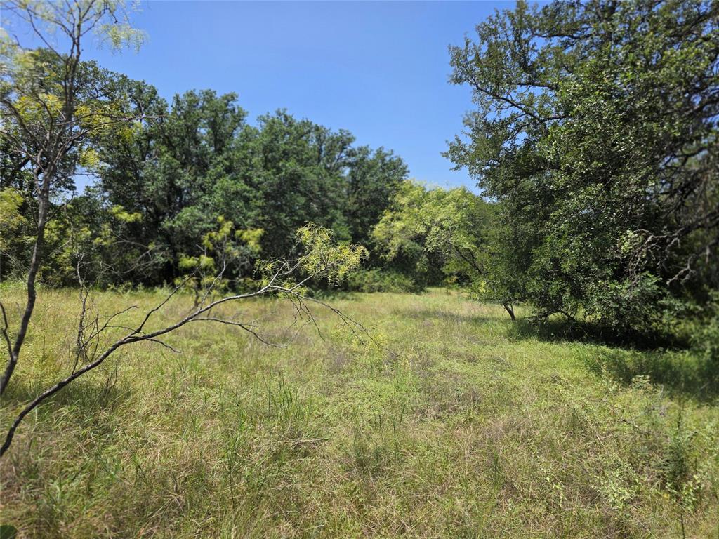 450 County Road 250 Property Photo 28