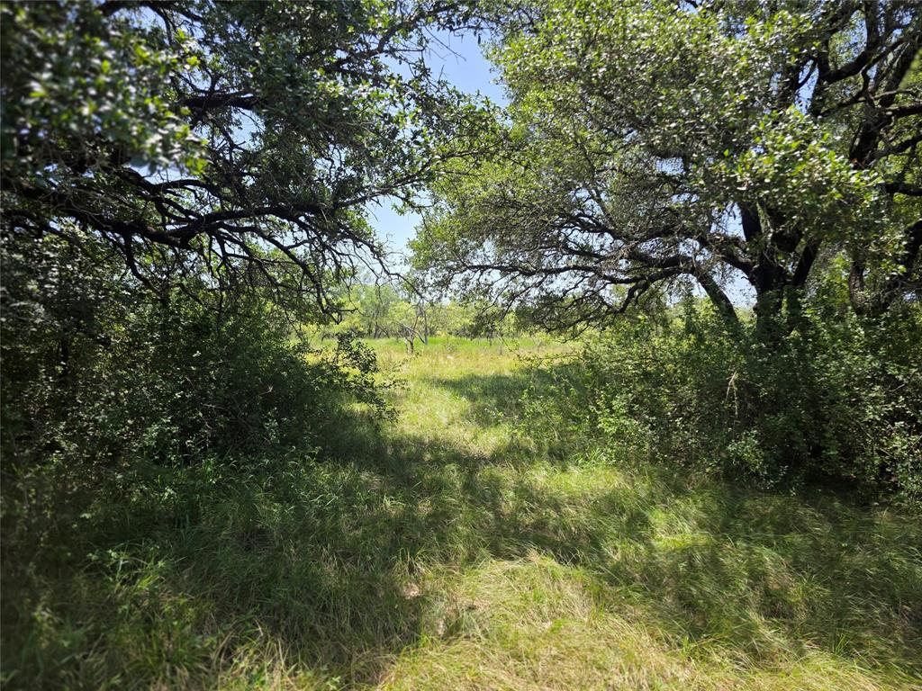 450 County Road 250 Property Photo 29