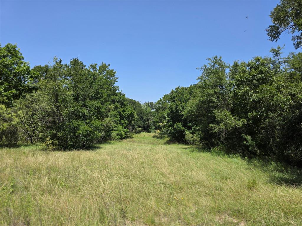 450 County Road 250 Property Photo 31