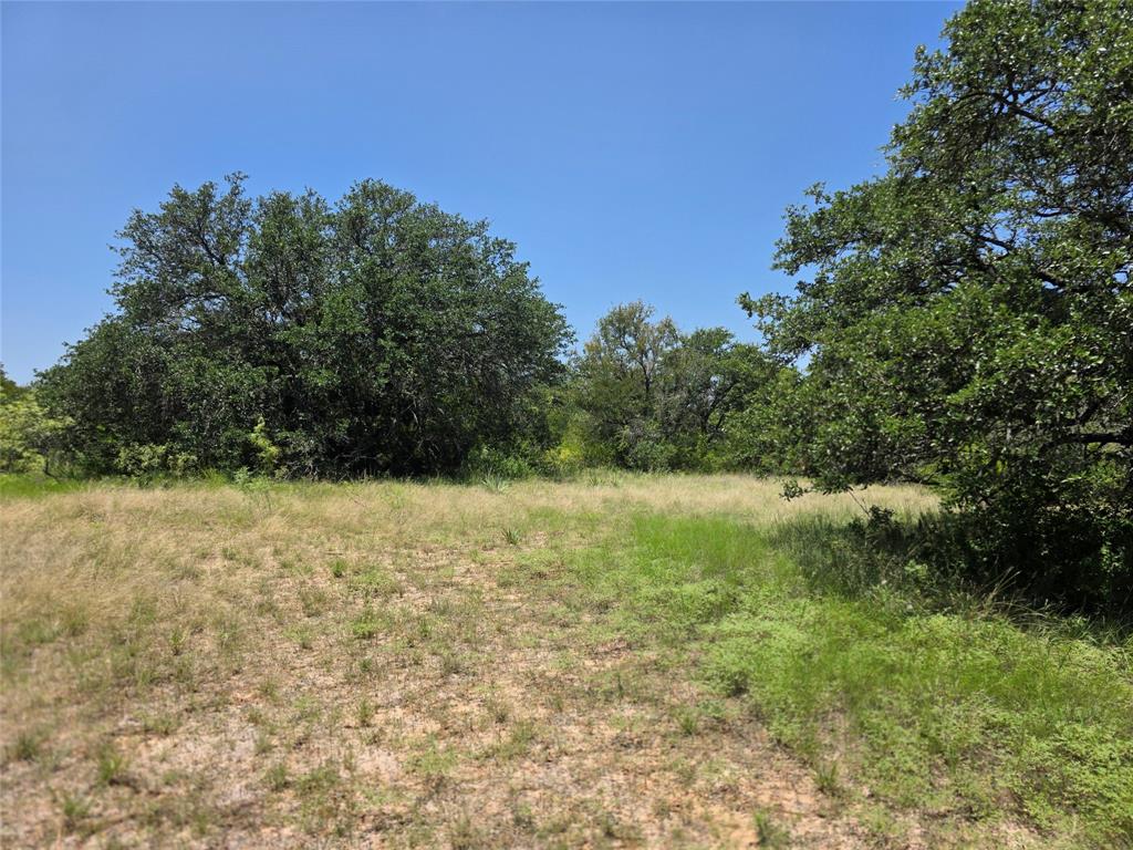 450 County Road 250 Property Photo 32
