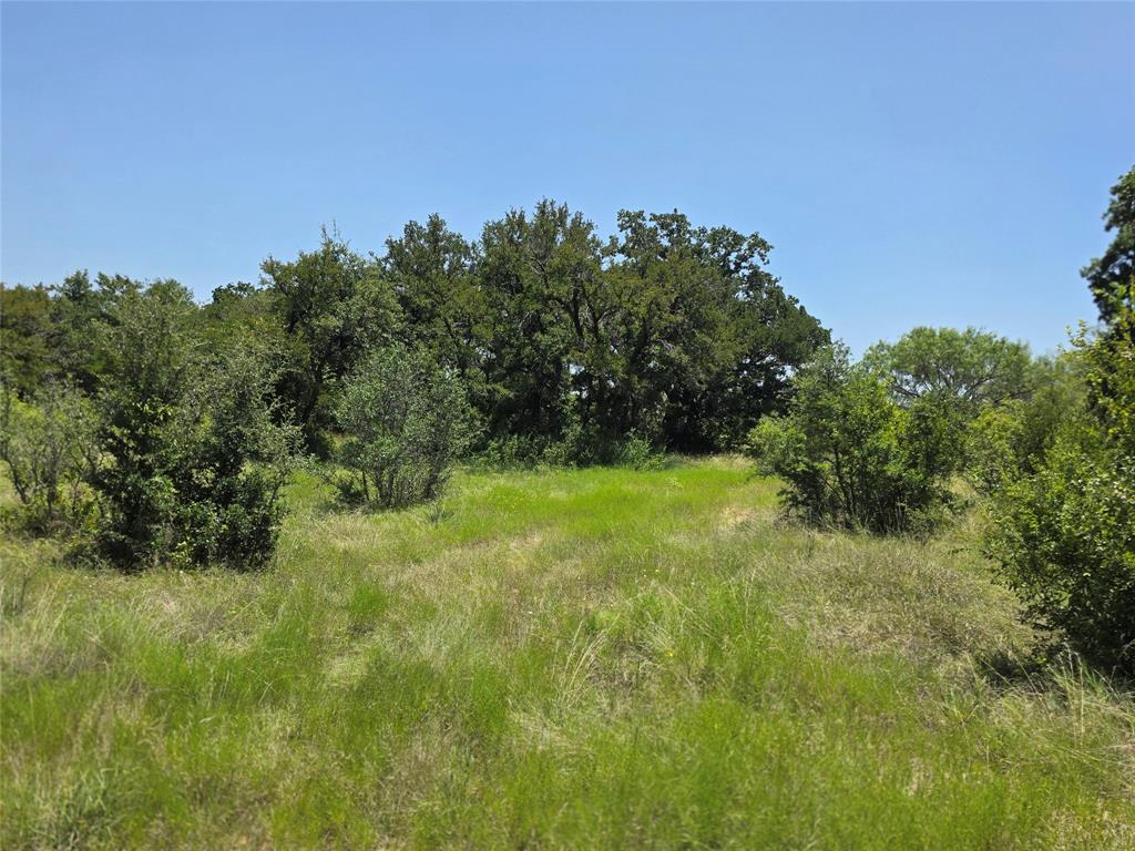 450 County Road 250 Property Photo 34