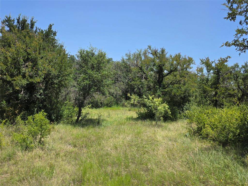 450 County Road 250 Property Photo 35