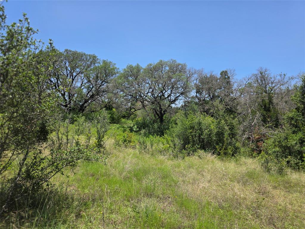 450 County Road 250 Property Photo 36