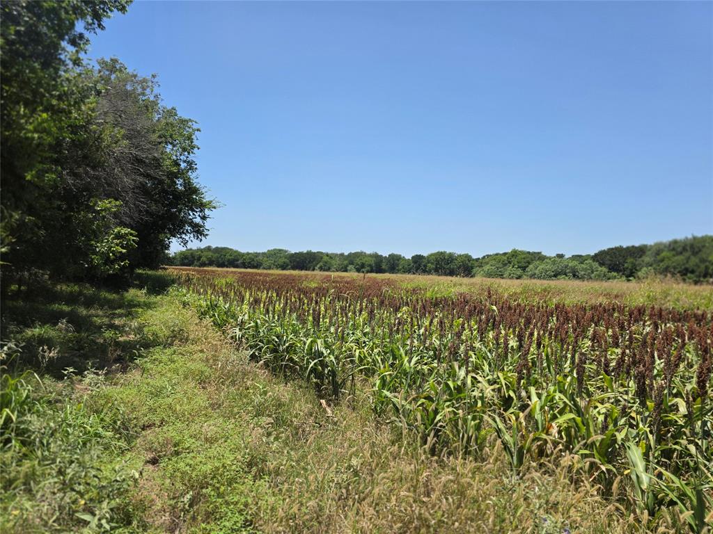 450 County Road 250 Property Photo 37