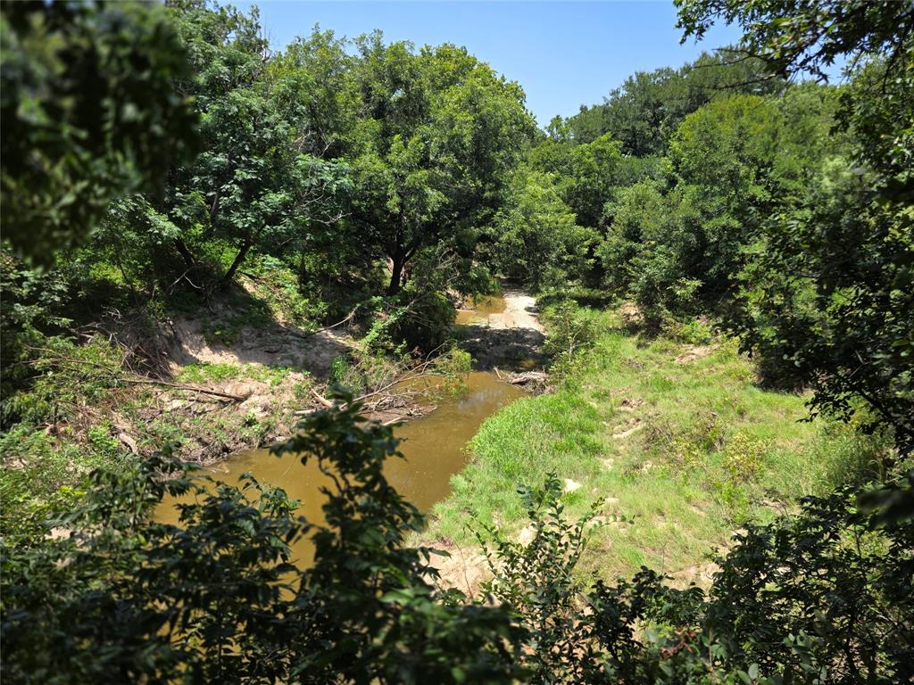 450 County Road 250 Property Photo 38