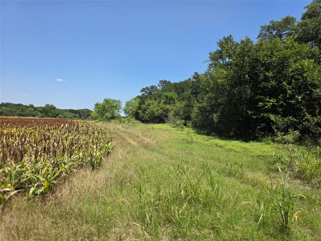 450 County Road 250 Property Photo 39