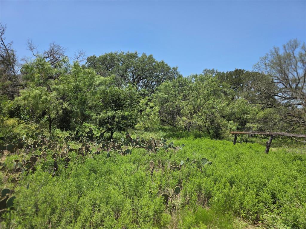 450 County Road 250 Property Photo 40