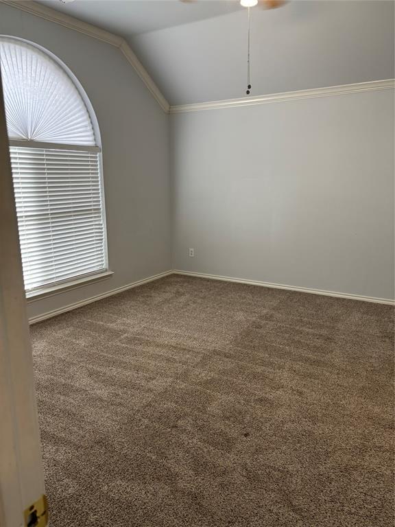 9304 Daystar Property Photo 11