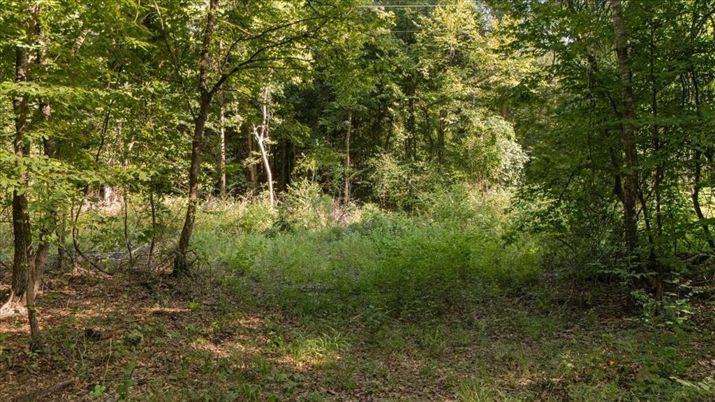 16888 Fm 2767 Property Photo 11