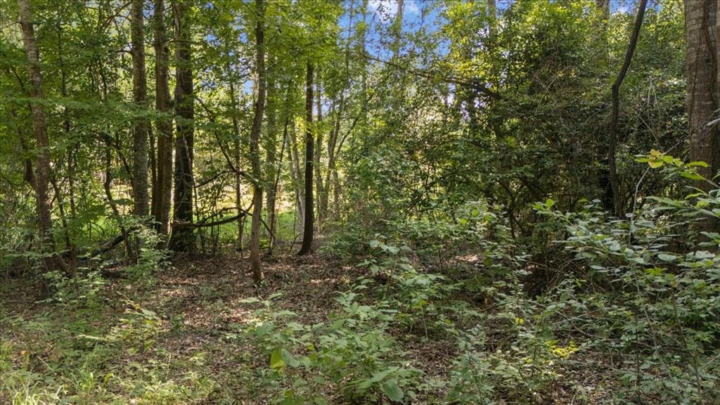 16888 Fm 2767 Property Photo 12