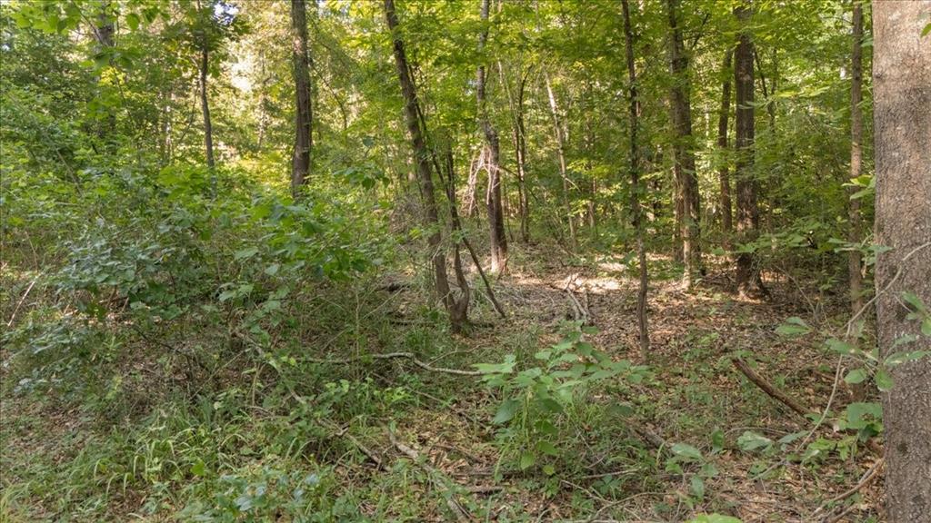 16888 Fm 2767 Property Photo 13