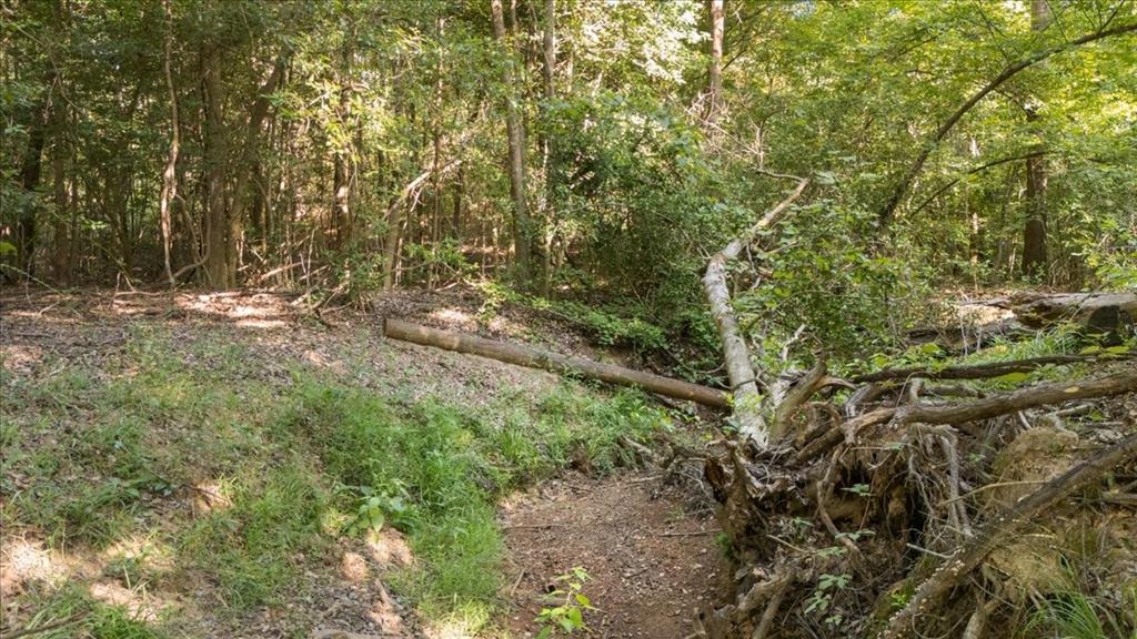 16888 Fm 2767 Property Photo 16