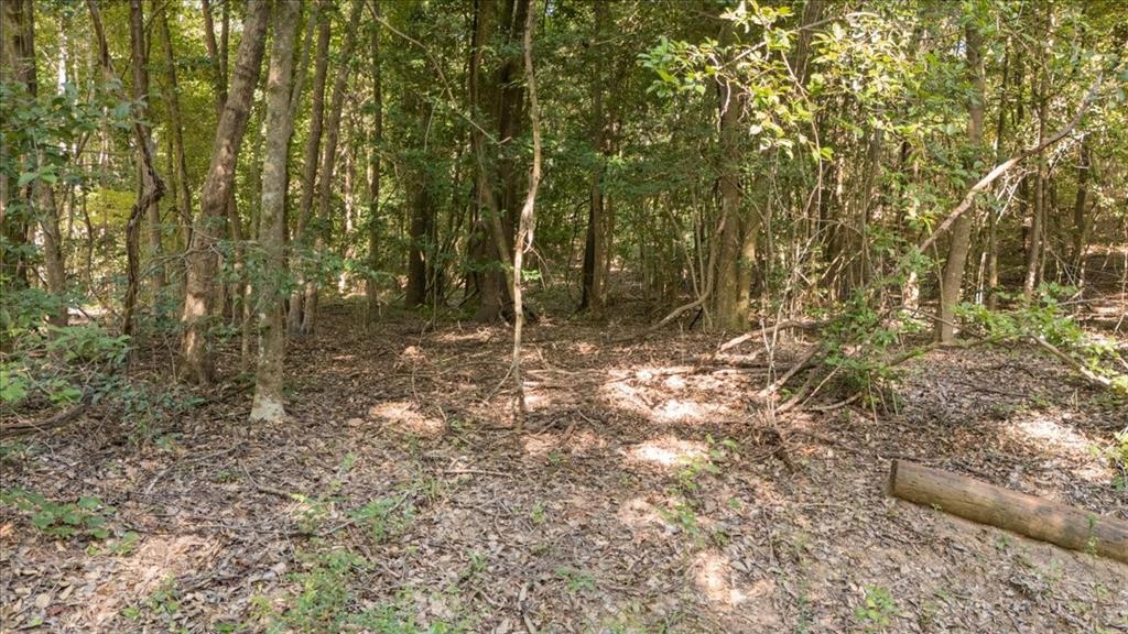 16888 Fm 2767 Property Photo 17