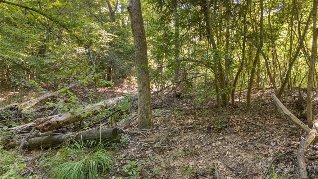 16888 Fm 2767 Property Photo 18