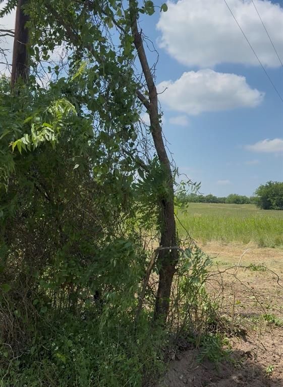 Lot 1 County Road 308 Property Photo 1